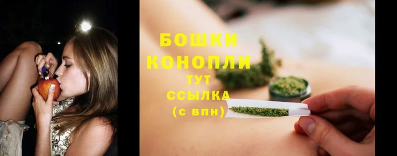 Конопля SATIVA & INDICA  Покачи 